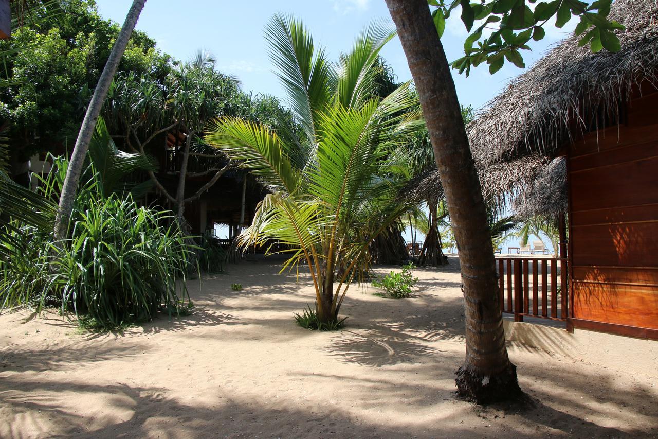 Shiva'S Beach Cabanas Тангалла Экстерьер фото